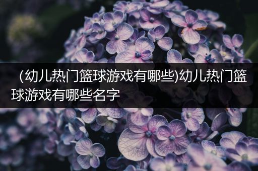 篮球小学生基本功训练教学反思简短_1